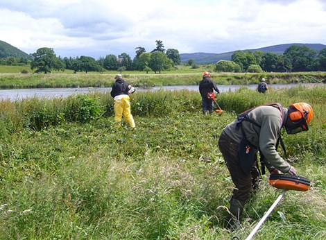 workmen cutting the grass next to a river