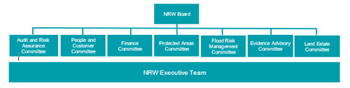 Our governance structure